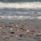 Strand Steine ( nicht bearbeitet )