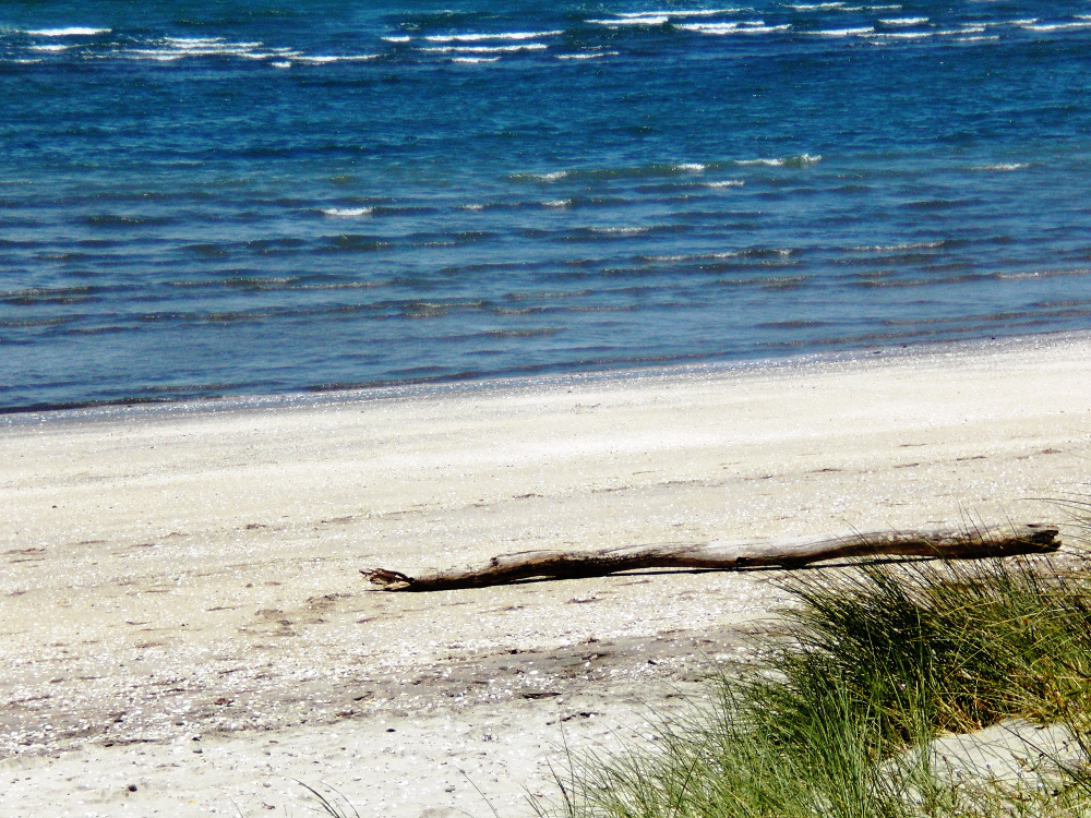 Strand Stilleben