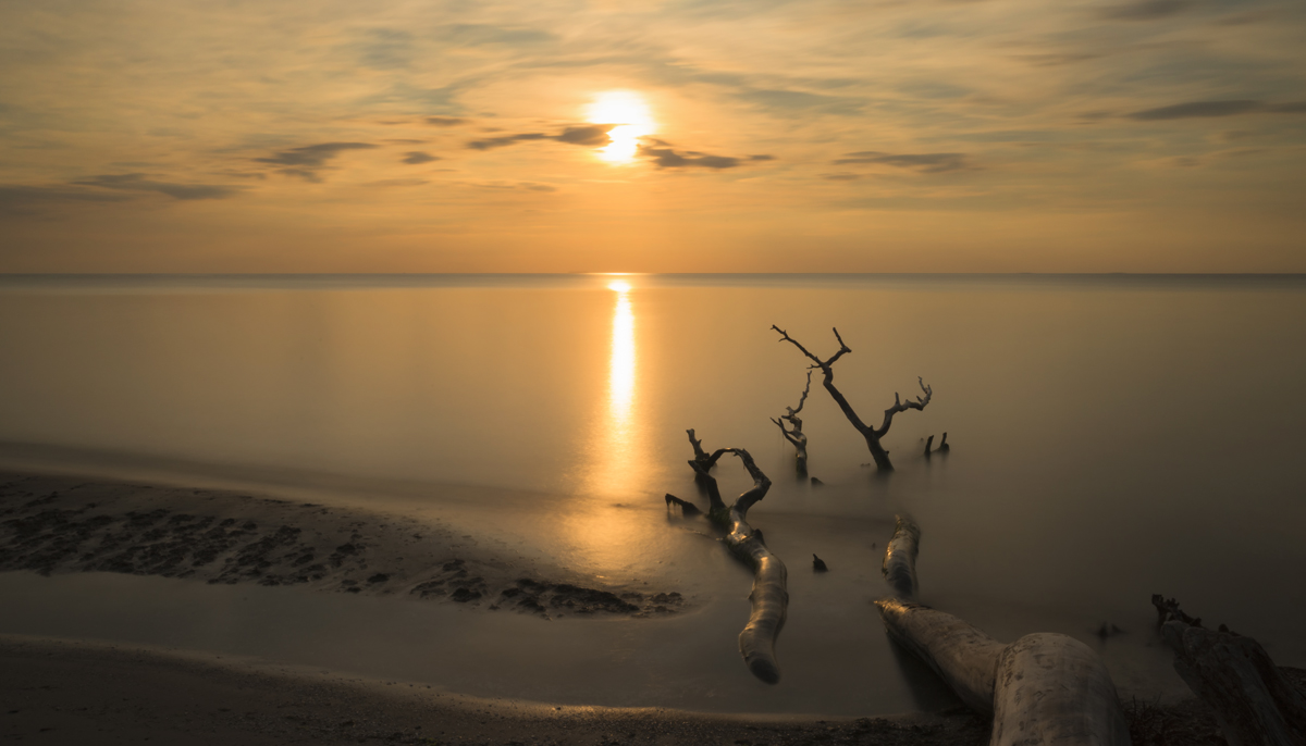 Strand-Stillleben