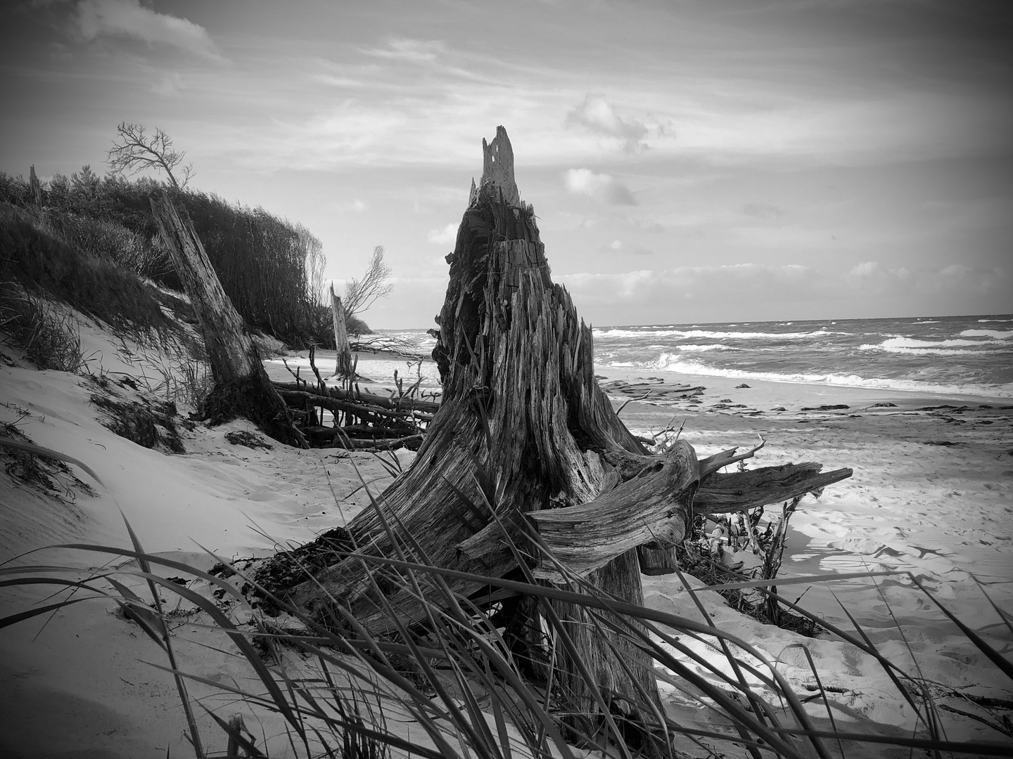 Strand Stillleben 