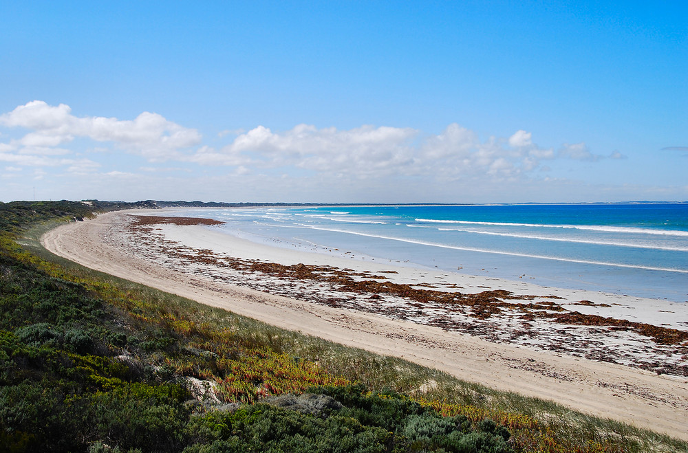 Strand südlich von Beachport