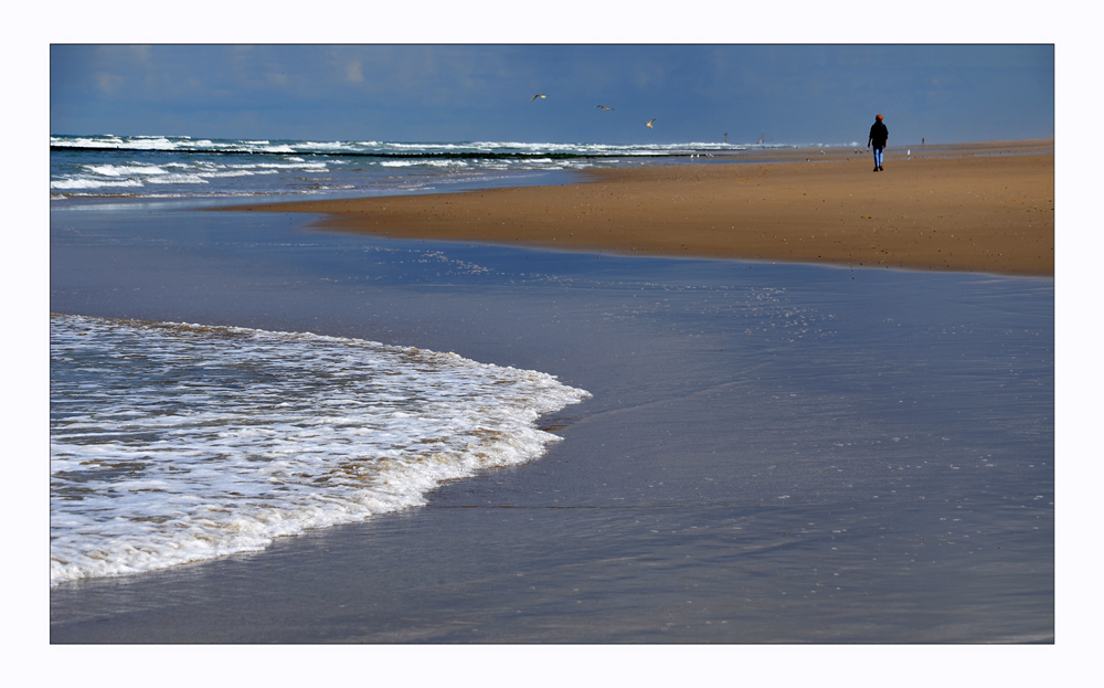 Strand Texel