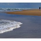 Strand Texel