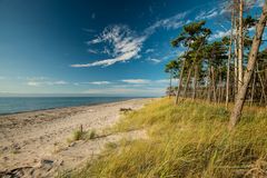 Strand trifft Wald