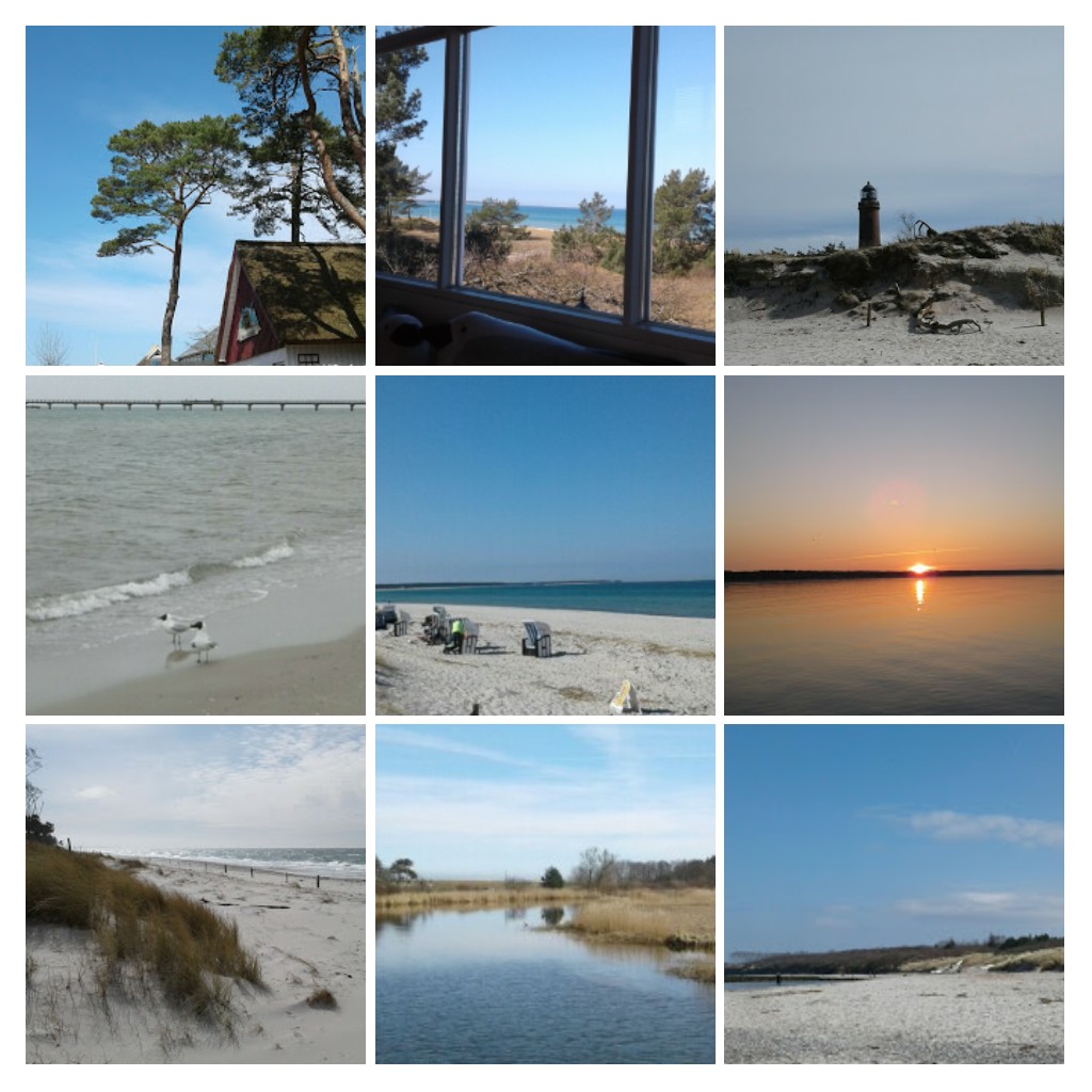 Strand und Boddenblick