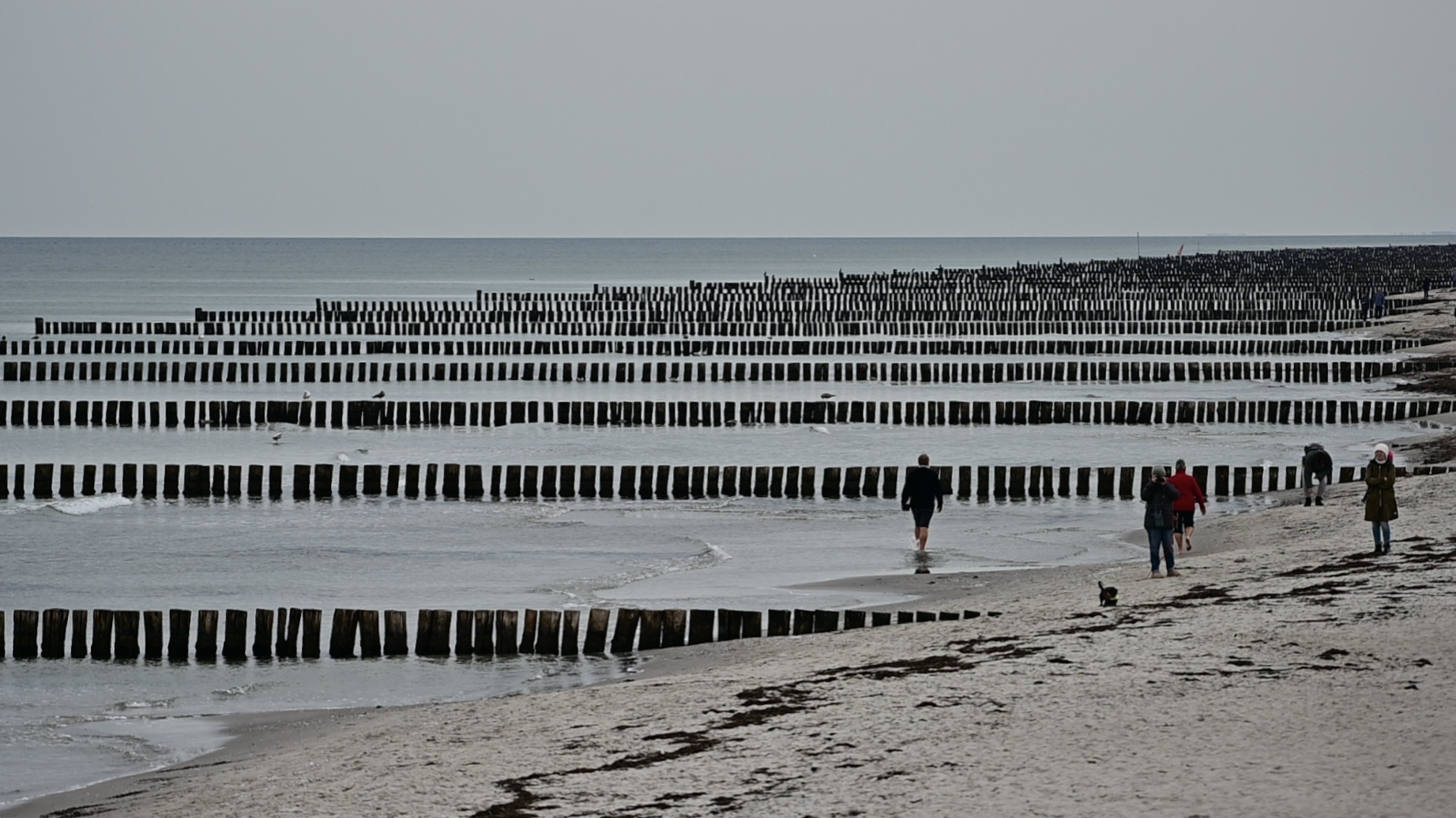 Strand und Buhnen