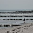 Strand und Buhnen