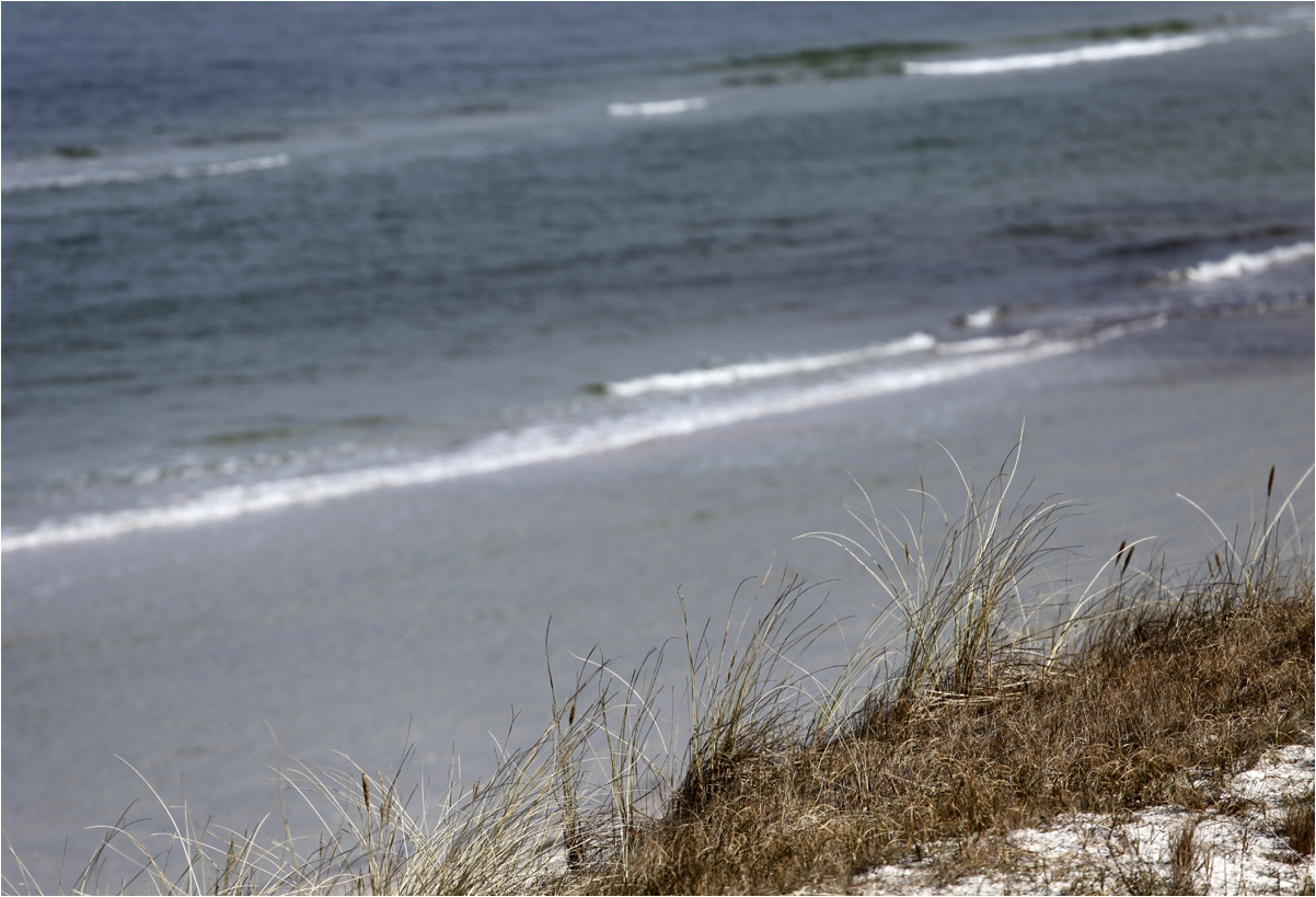 Strand und Düne