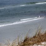 Strand und Düne