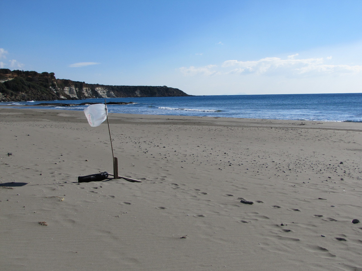 strand und meer und müll. verzeihung, beach.art meinte ich.