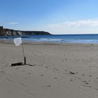 strand und meer und müll. verzeihung, beach.art meinte ich.