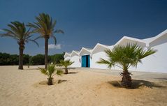 Strand und Palmen am Meer 1 (TUN)