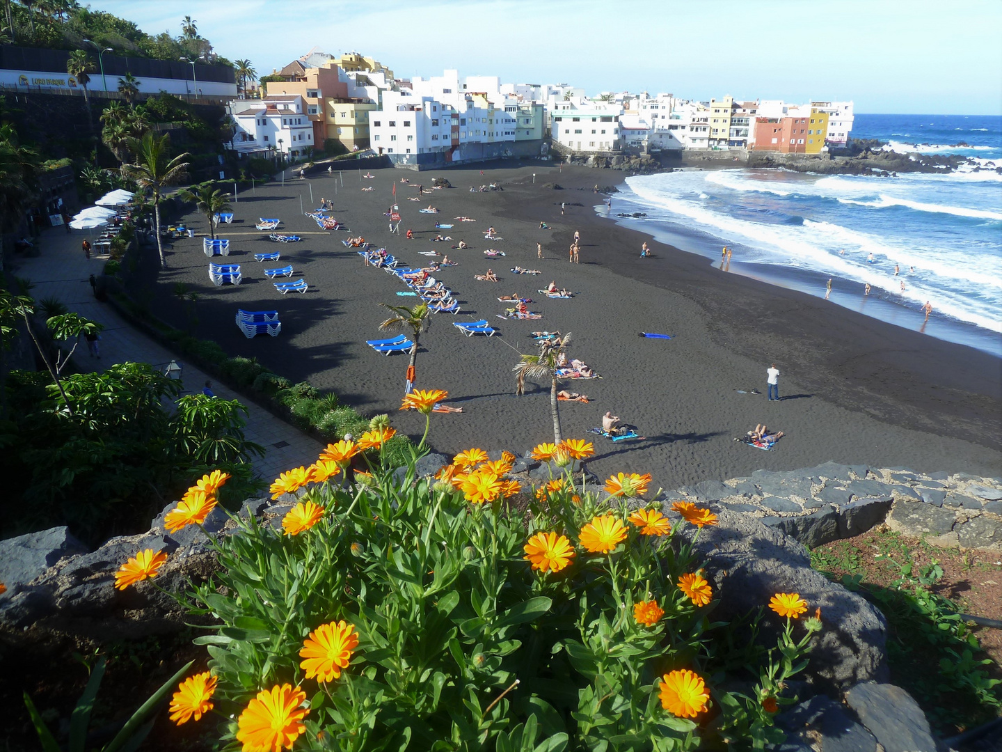 Strand und Ringelblumen...