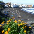 Strand und Ringelblumen...