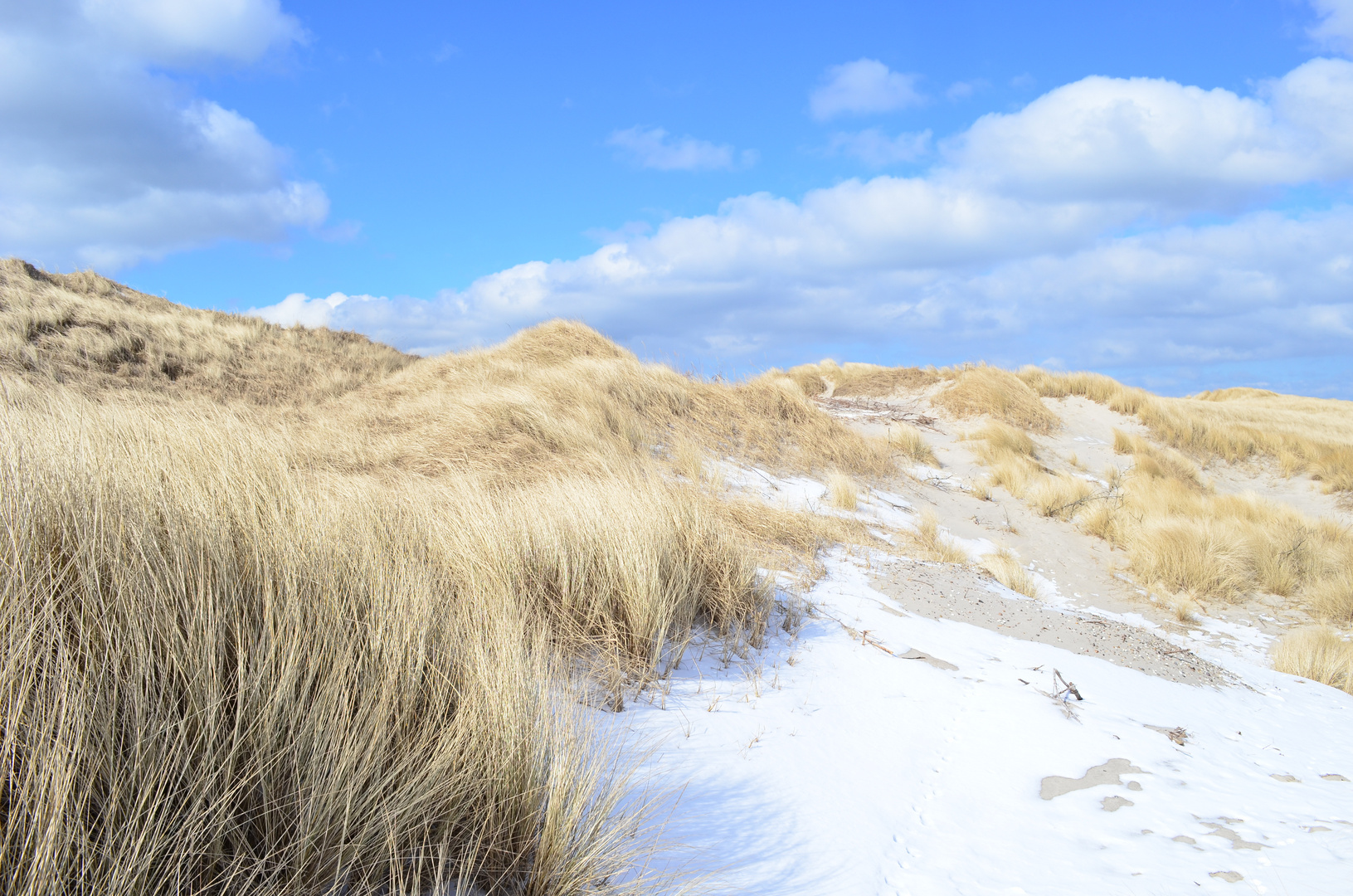 Strand und Schnee