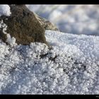 Strand und Schnee