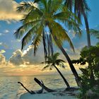 Strand und Sonne