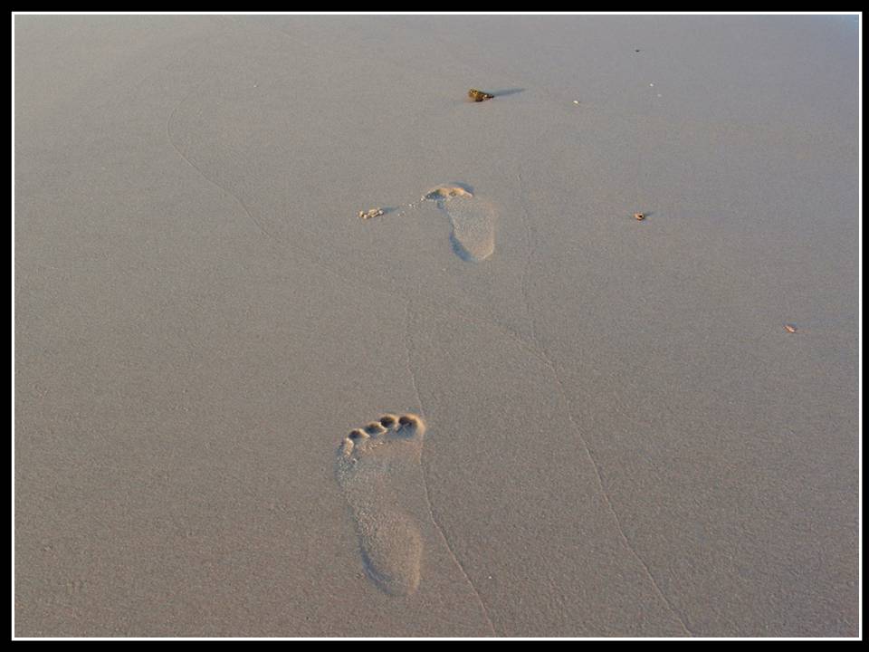 Strand und Spuren im Sand