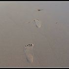 Strand und Spuren im Sand