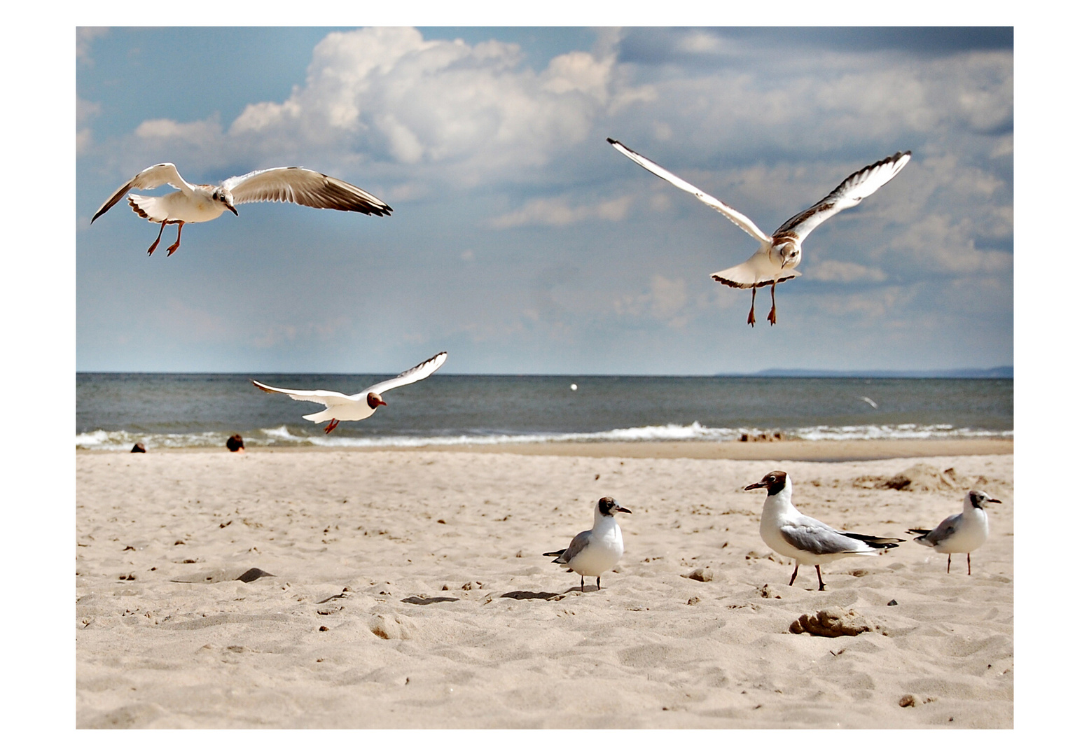 Strand Usedom