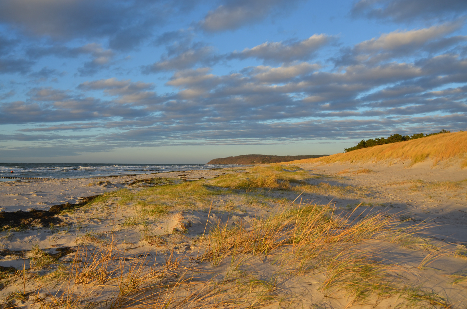 Strand Veränderungen  Hiddensee 