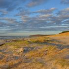 Strand Veränderungen  Hiddensee 