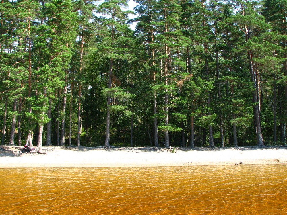 Strand Vitsand in Schweden