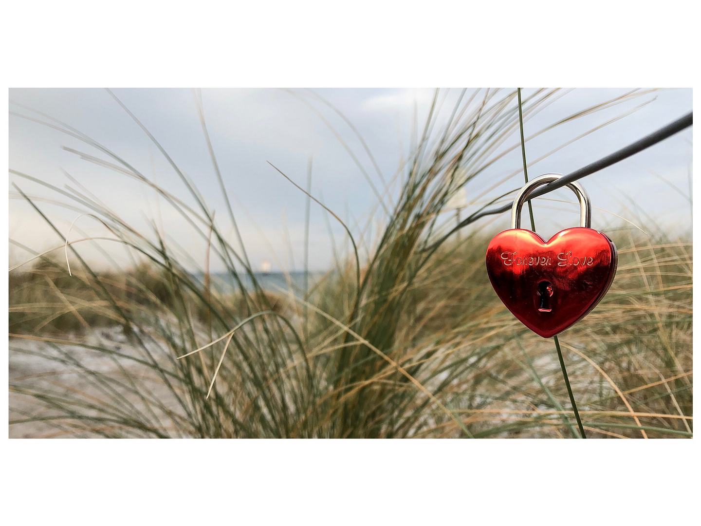 Strand von Ahrenshoop 