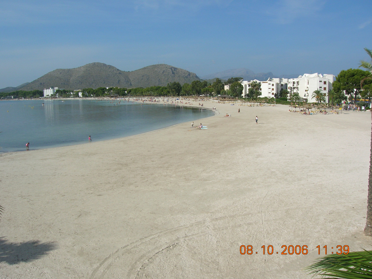 strand von alcudia