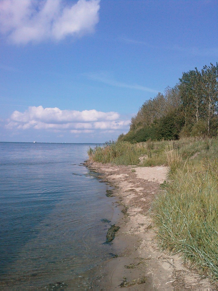 Strand von Altefähr / Rügen