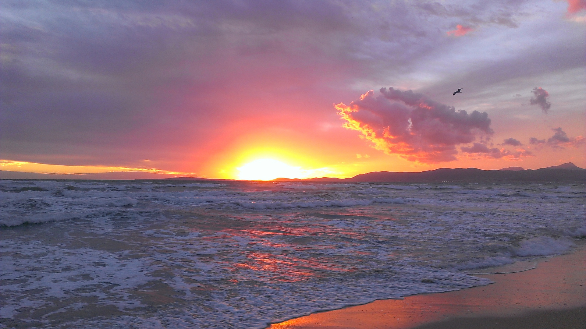 Strand von Arenal