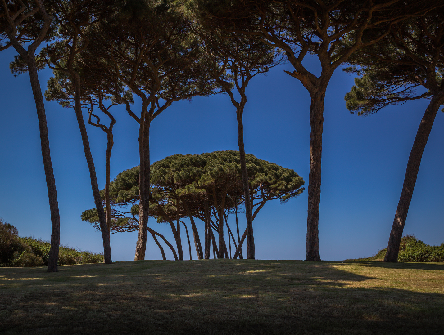 Strand von Baratti