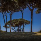 Strand von Baratti