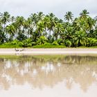 Strand von Boipeba, Bahia, Brasilien