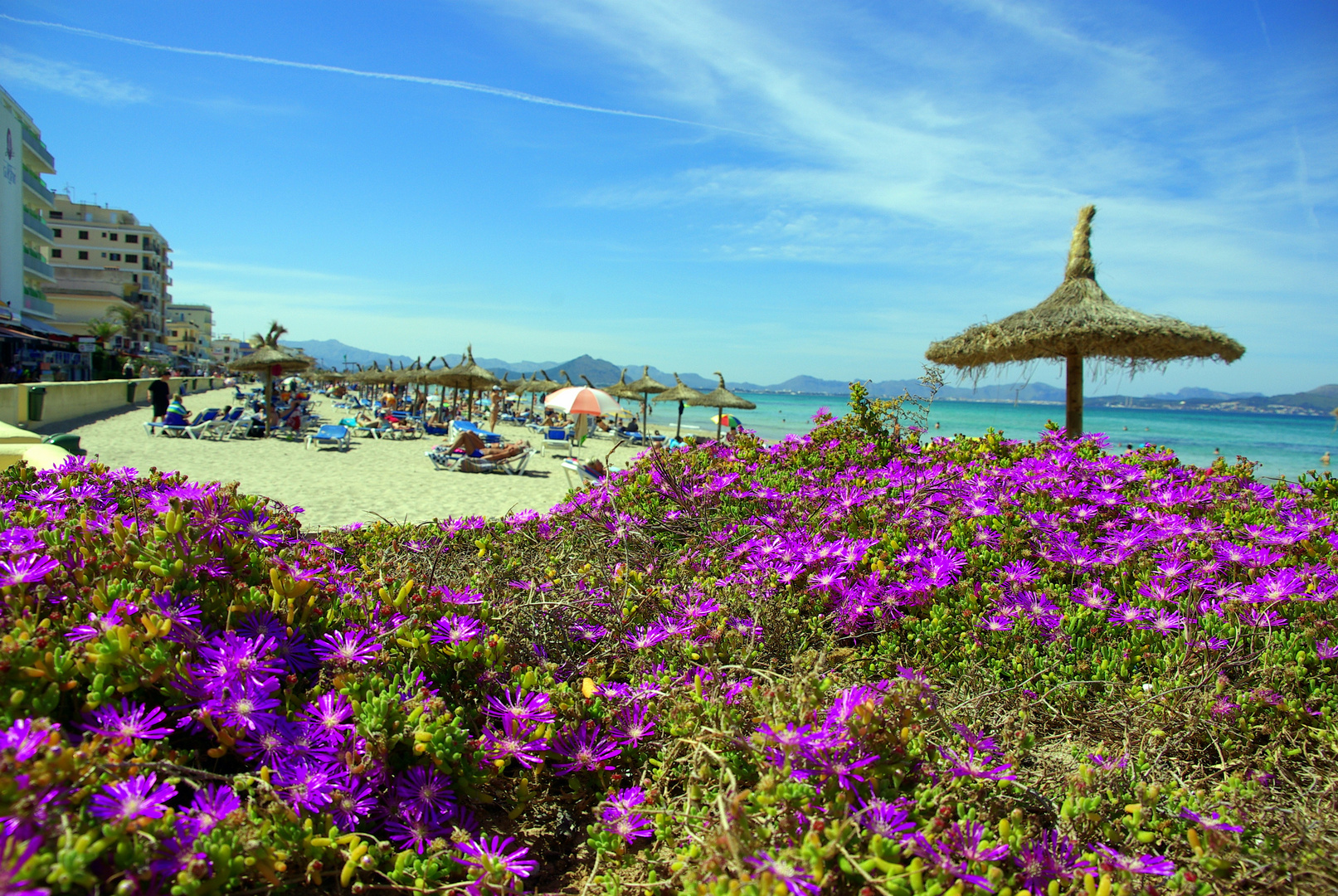 Strand von Can Picafort