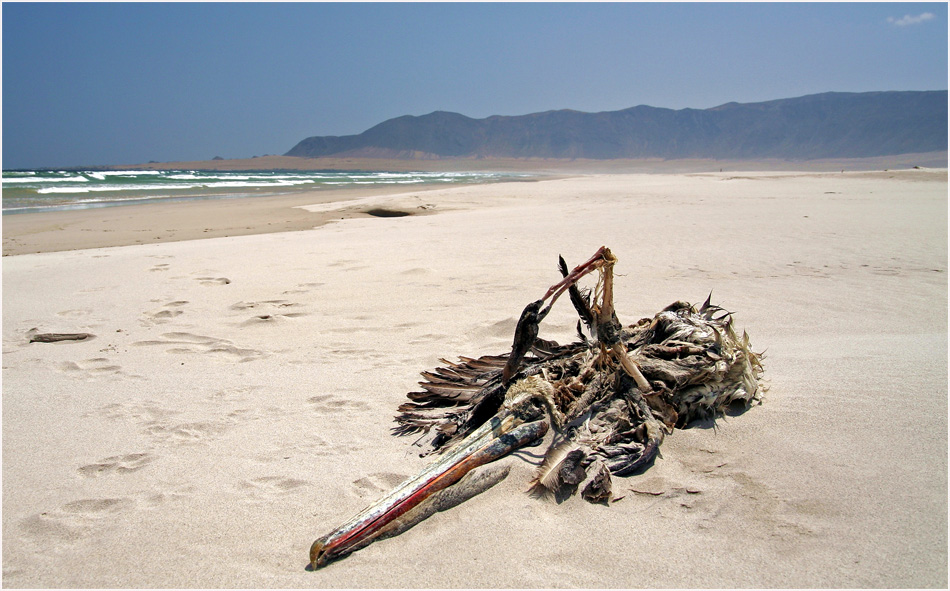 Strand von Chanaral