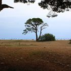 Strand von Cirali