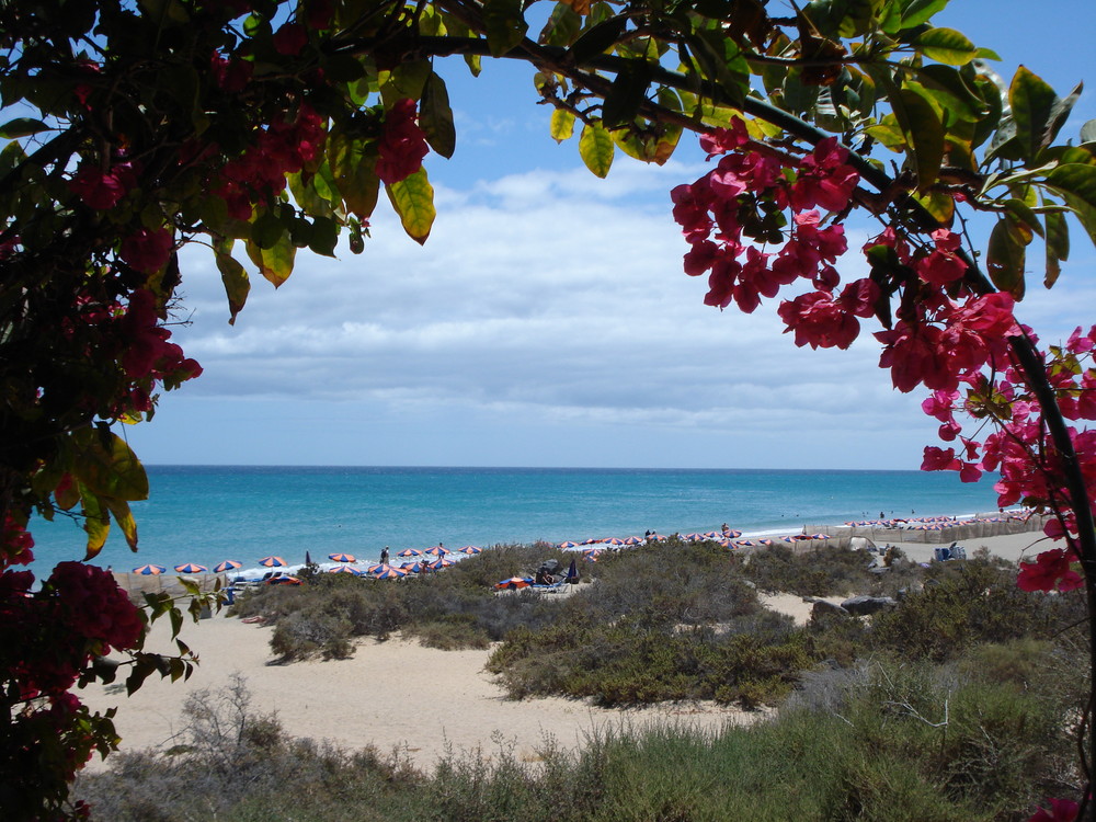 Strand von Costa Calma ...