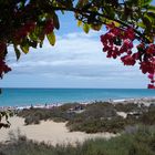 Strand von Costa Calma ...