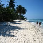 Strand von der Bacardi Insel