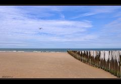 Strand von Domburg