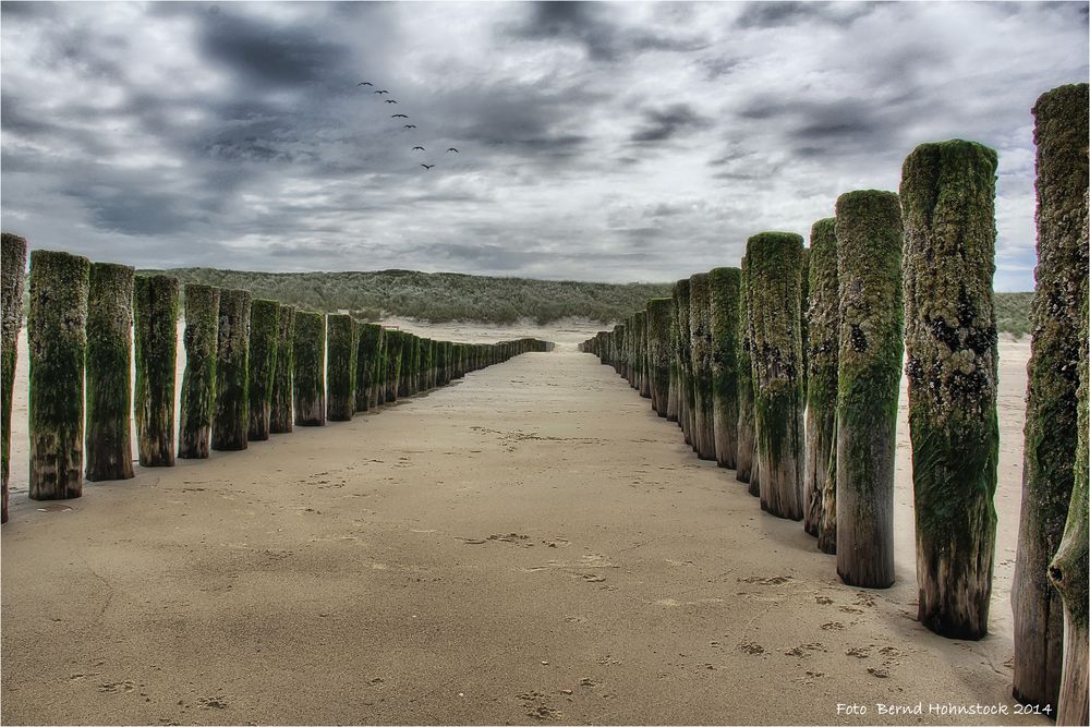 Strand von Domburg ....