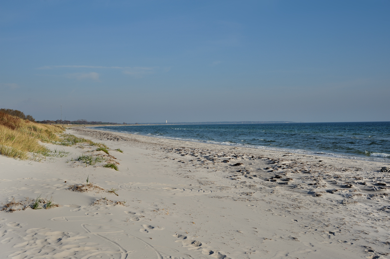 Strand von Falsterbo