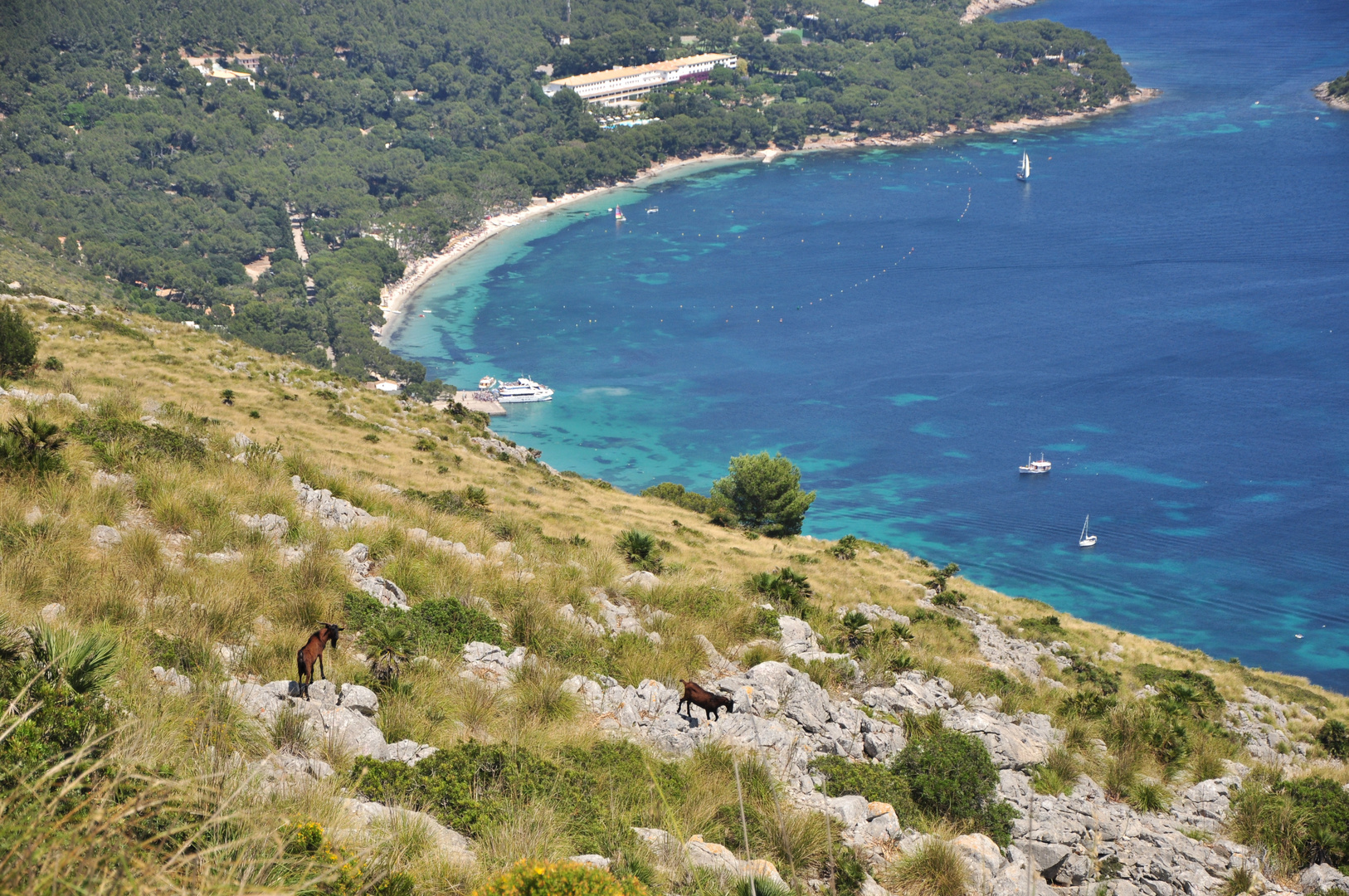 Strand von Formentor