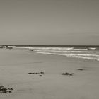 Strand von Fuerteventura