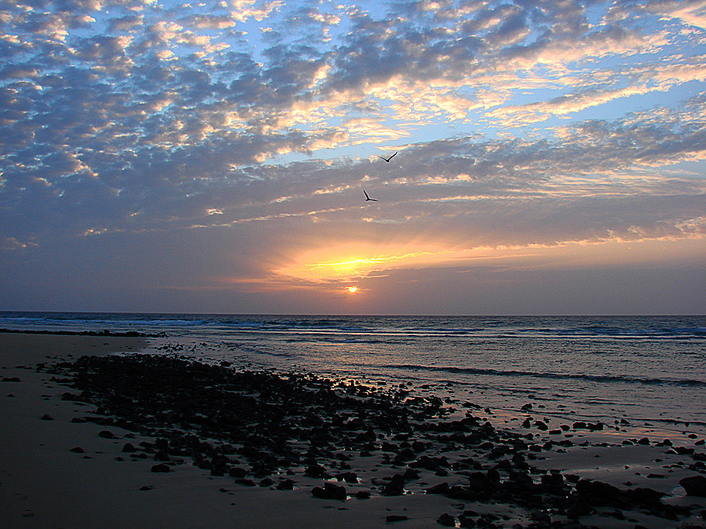 Strand von Fuerteventura II