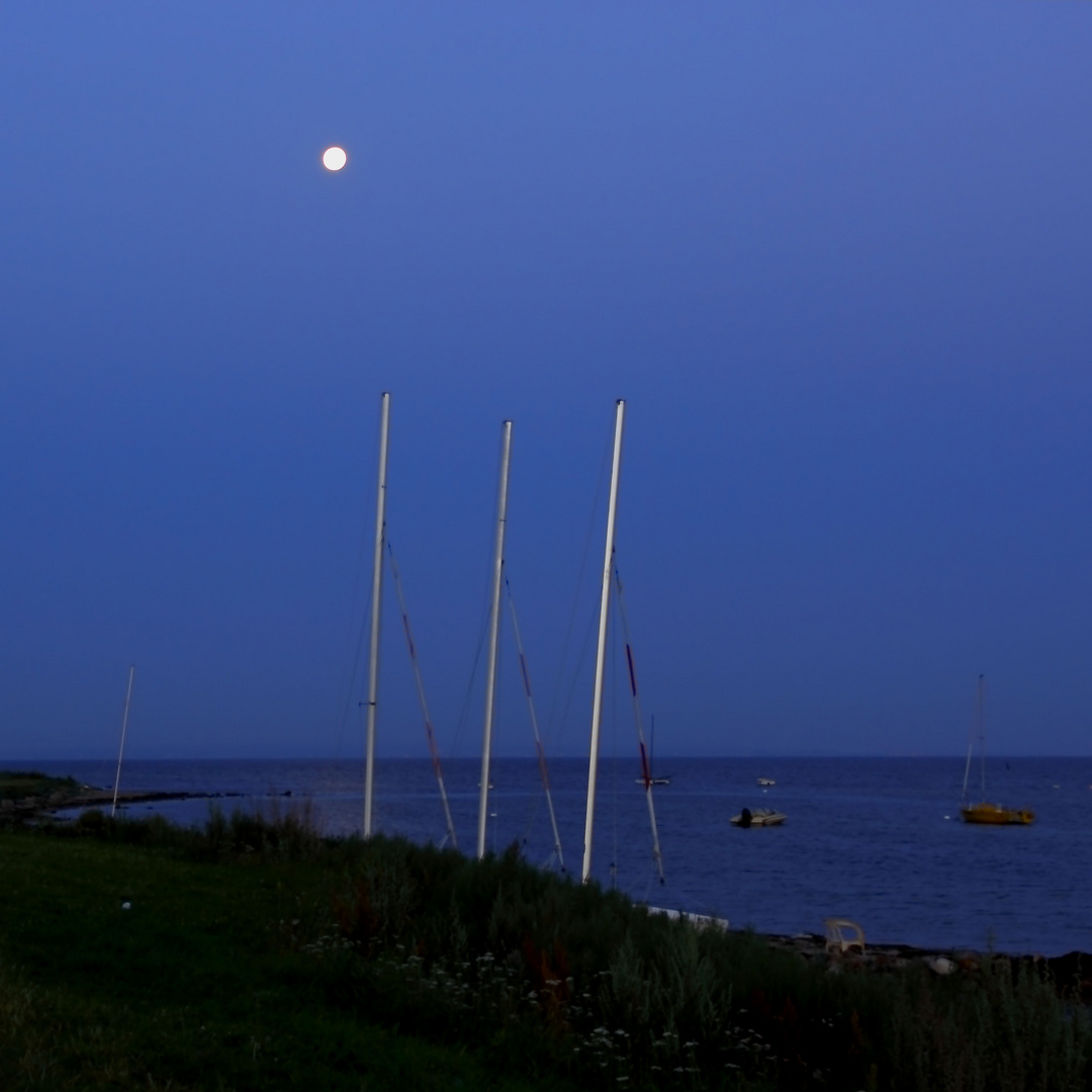 Strand von Gold / Fehmarn