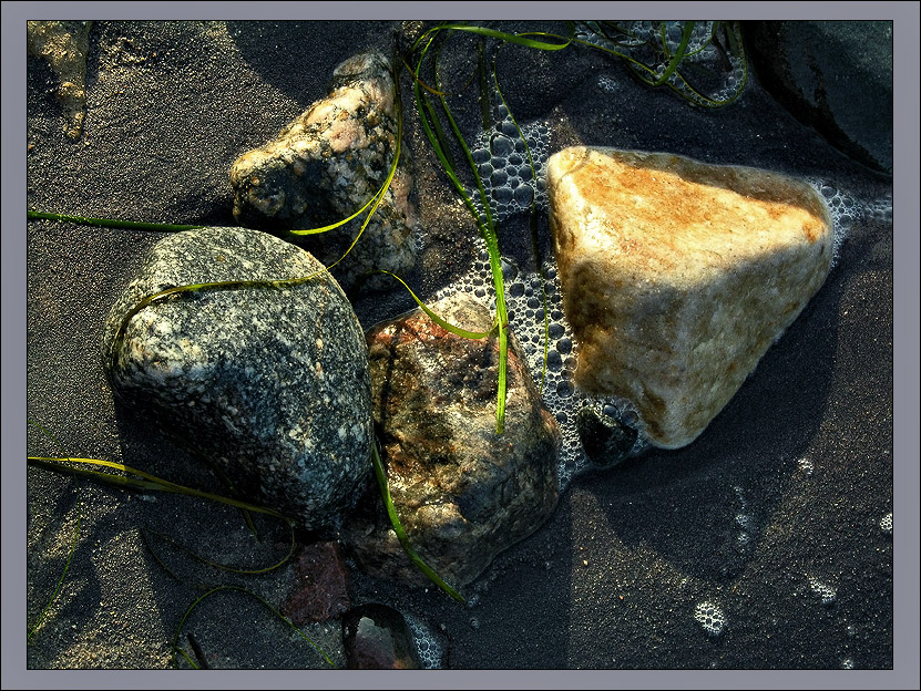 Strand von Hiddensee 2