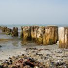 Strand von Hiddensee 3