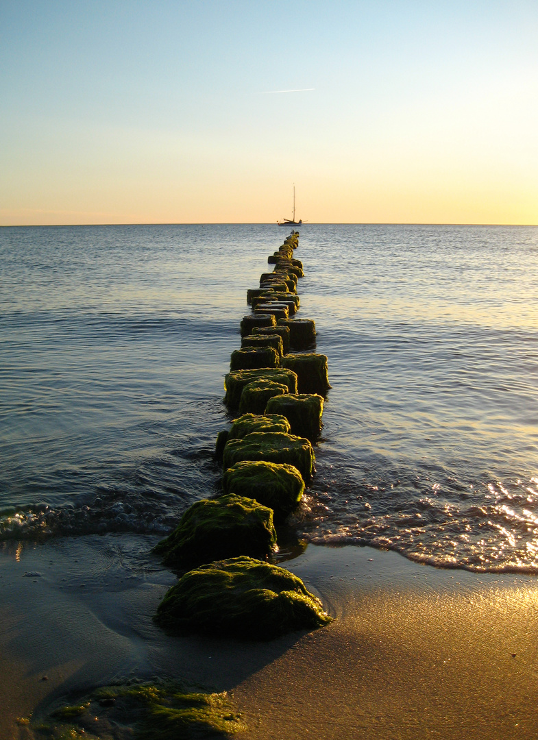 Strand von Hiddensee